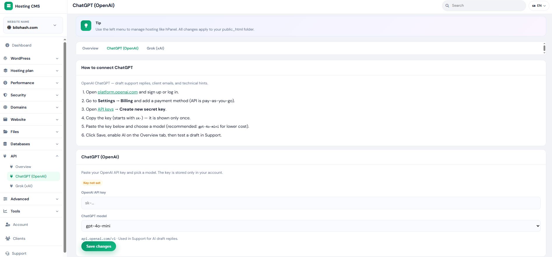 Hosting for AI for SEO